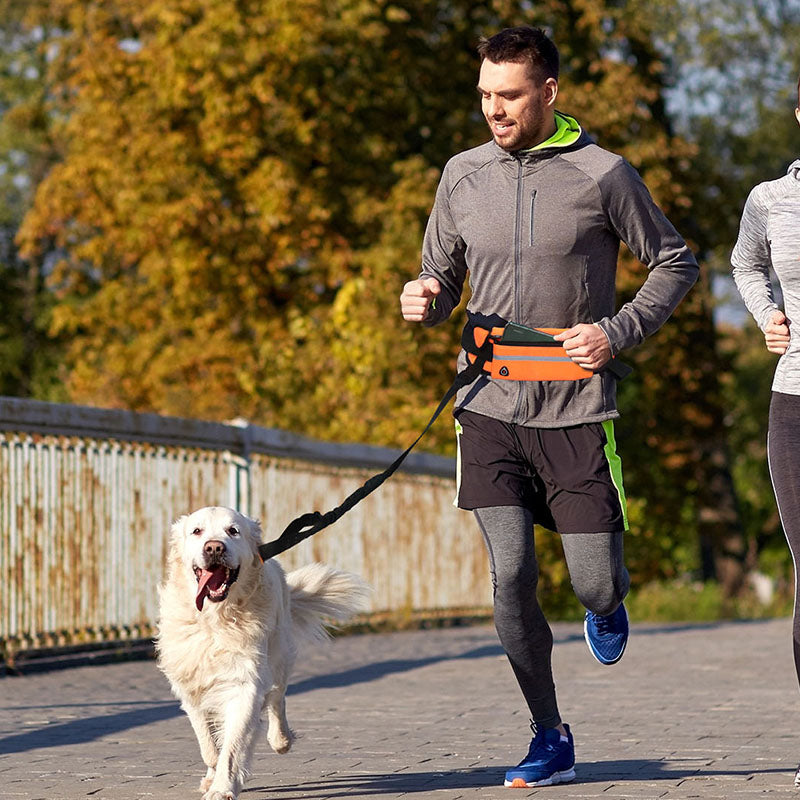 NNEAGS 2X Orange Adjustable Hands-Free Pet Leash Bag Dog Lead Walking Running Jogging Pet Essentials-1