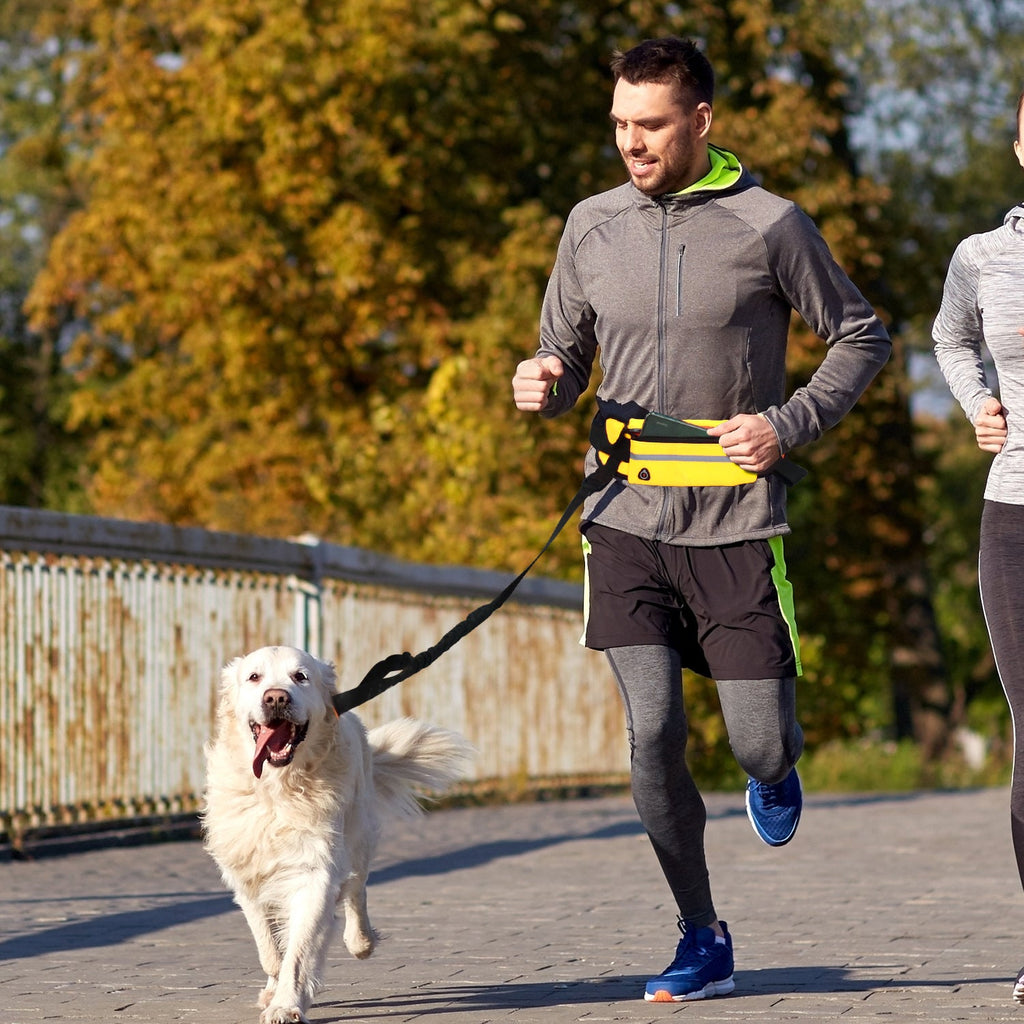 NNEAGS 2X Yellow Adjustable Hands-Free Pet Leash Bag Dog Lead Walking Running Jogging Pet Essentials-1