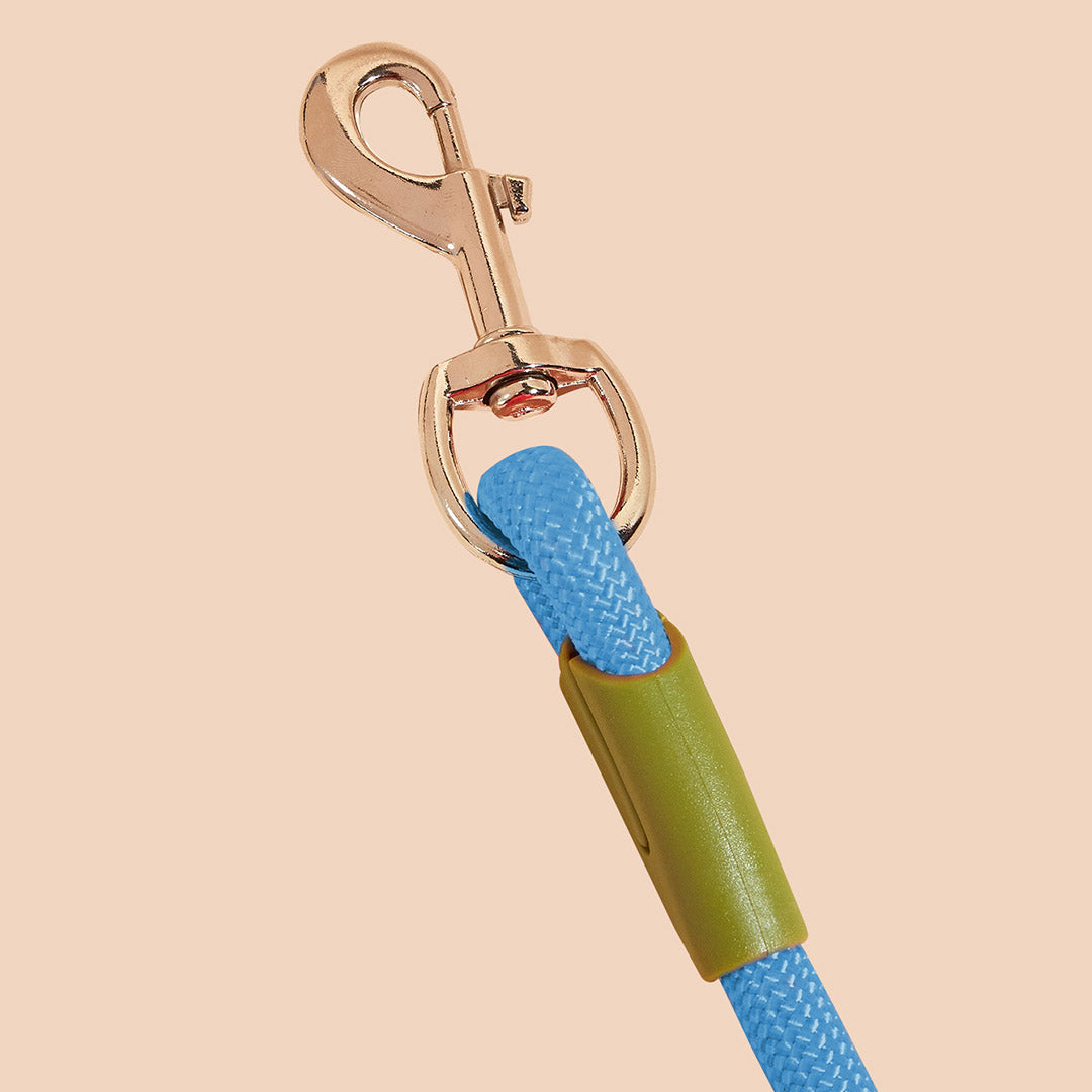NNEAGS 220cm Multifunction Hands-Free Rope Pet Cat Dog Puppy Double Ended Leash for Walking Training Tracking Obedience Blue-4