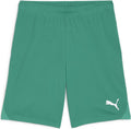 Puma teamgoal shorts men's sports pants - sport green- white-0