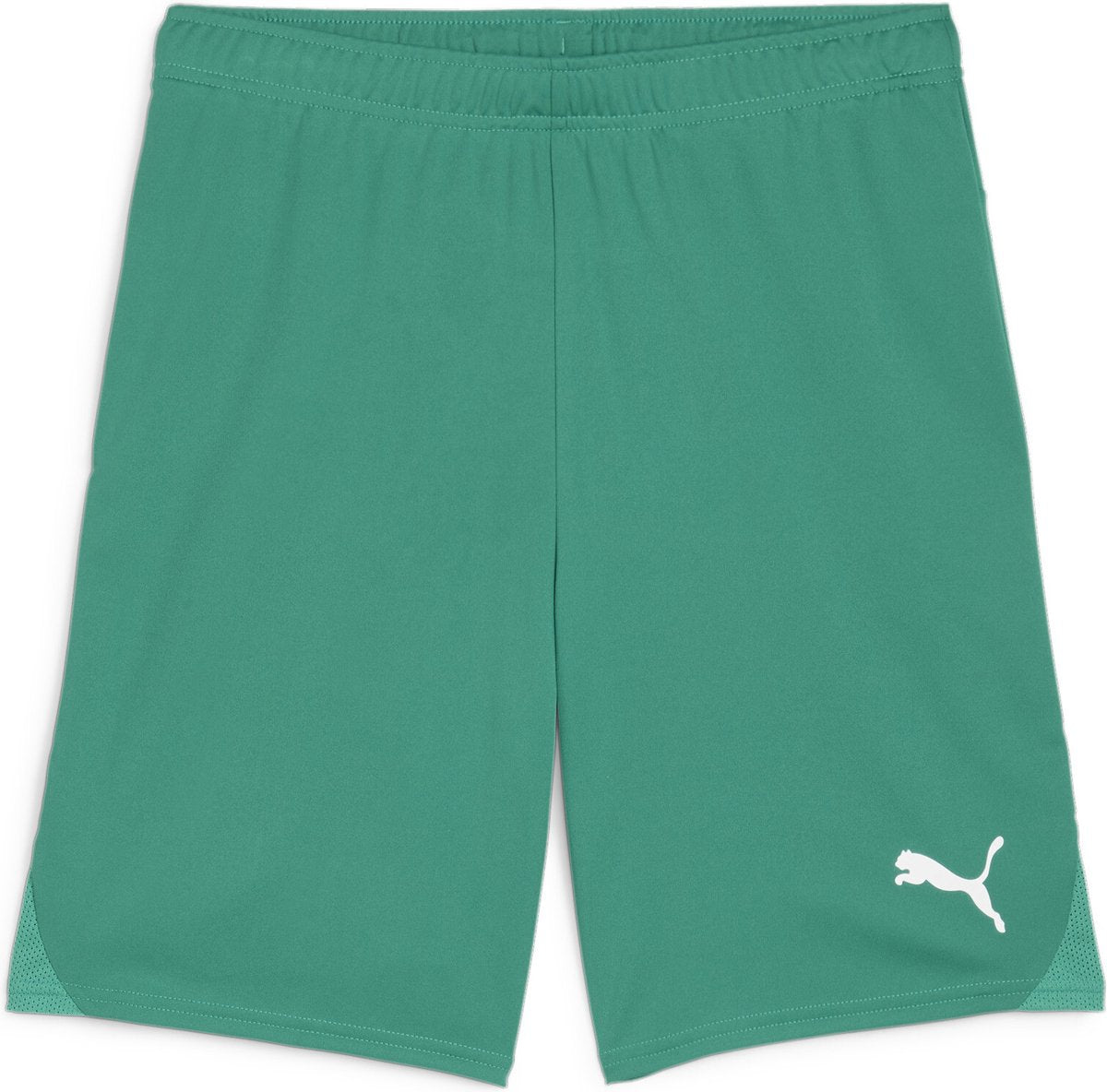 Puma teamgoal shorts men's sports pants - sport green- white-0