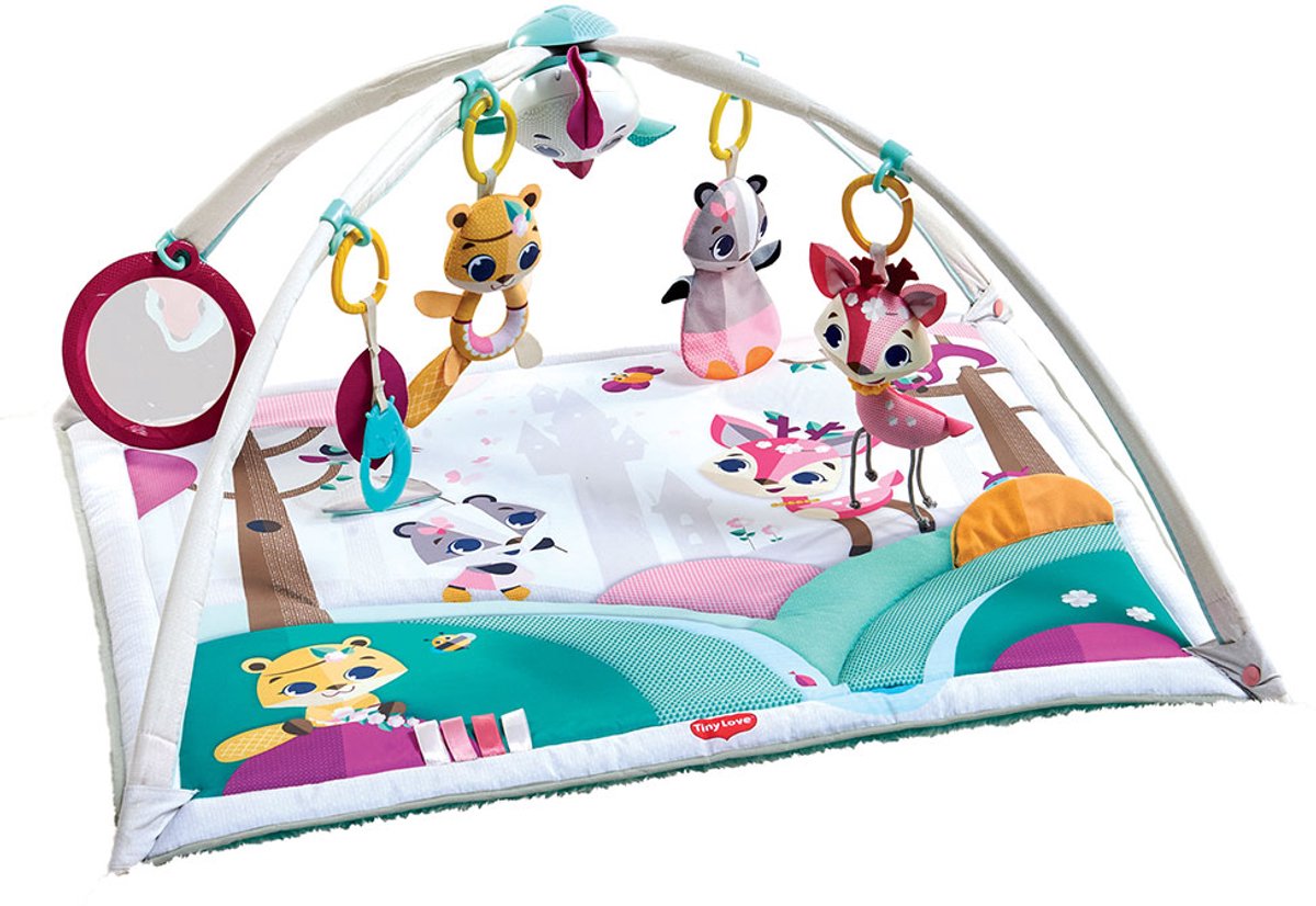 Tiny Love babygym gymini deluxe - princess tales - vanaf de geboorte tot 1 jaar oud-0