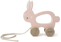 Trixie Wooden Pull-along Figure Mrs. Rabbit-0