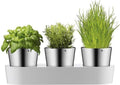 WMF gourmet herb garden - herb pot - 3-piece - stainless steel - modern design-0