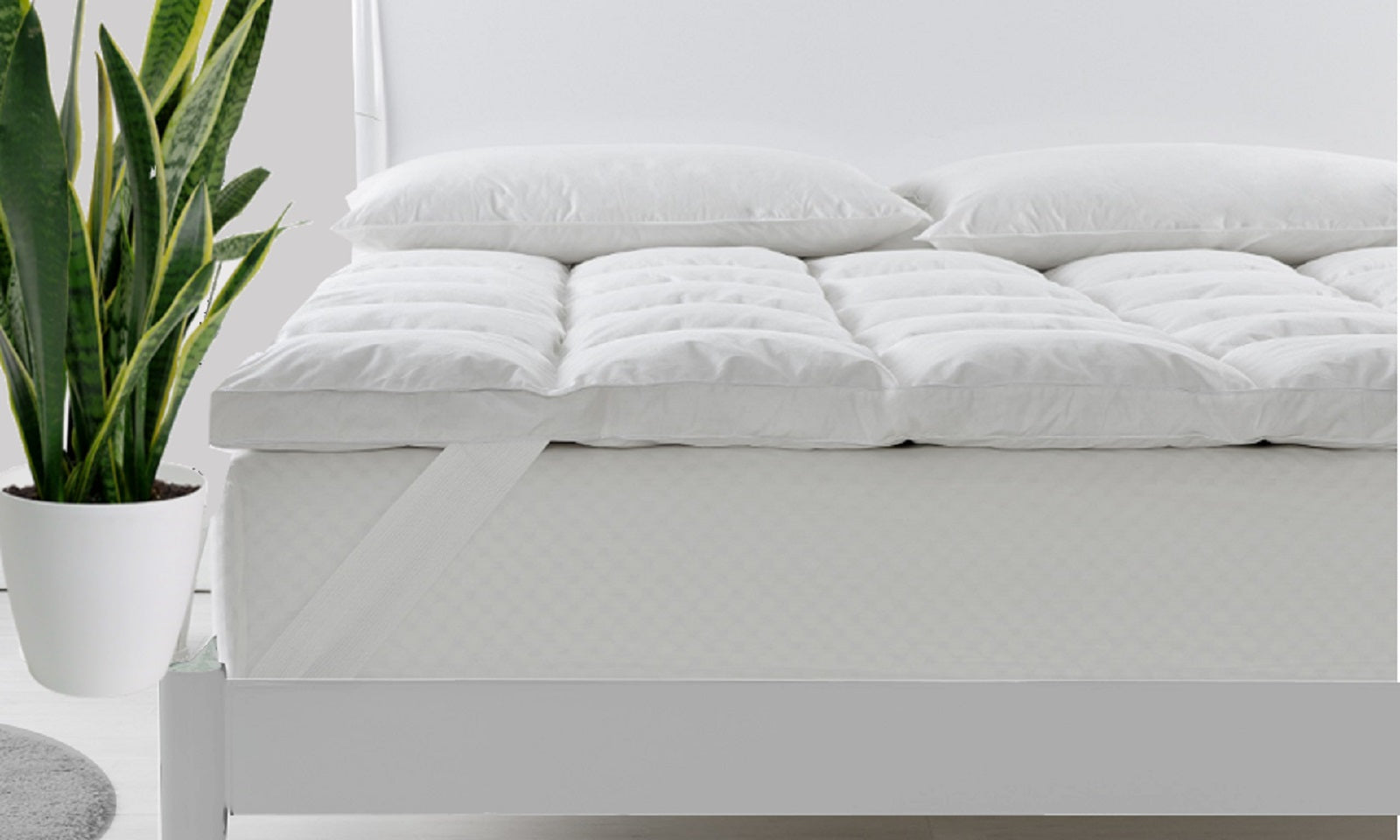 Royal Comfort Duck Feather and Down Mattress Toppers / 1800GSM - Single-0