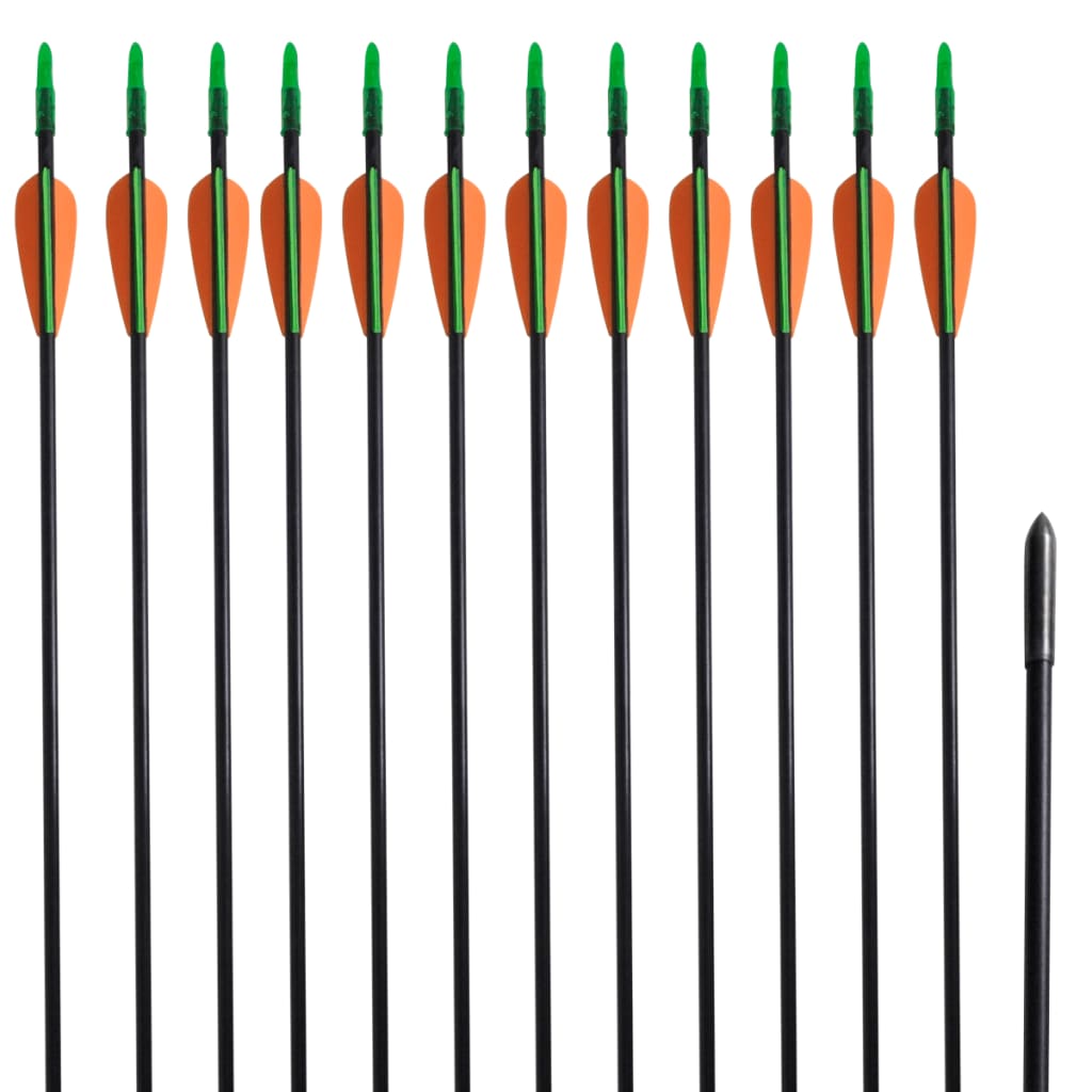 NNEVL Standard Recurve Bow Arrows 30" 0.6 cm Fiberglass 12 pcs