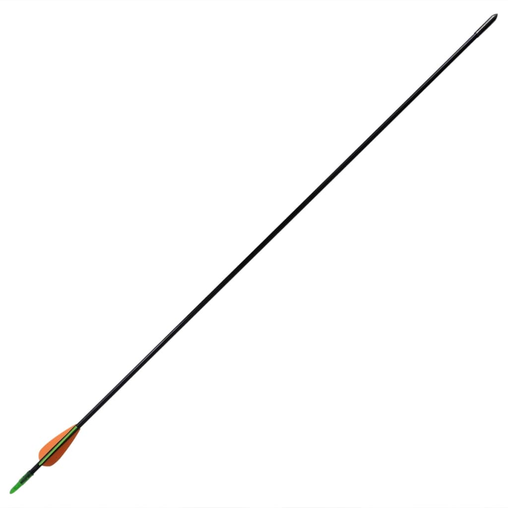 NNEVL Standard Recurve Bow Arrows 30" 0.6 cm Fiberglass 12 pcs