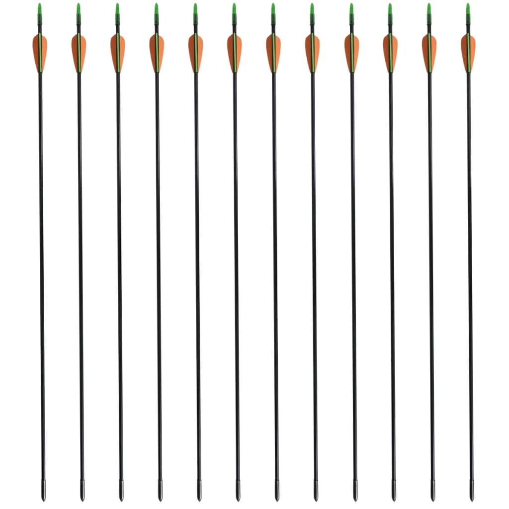 NNEVL Standard Recurve Bow Arrows 30" 0.6 cm Fiberglass 12 pcs