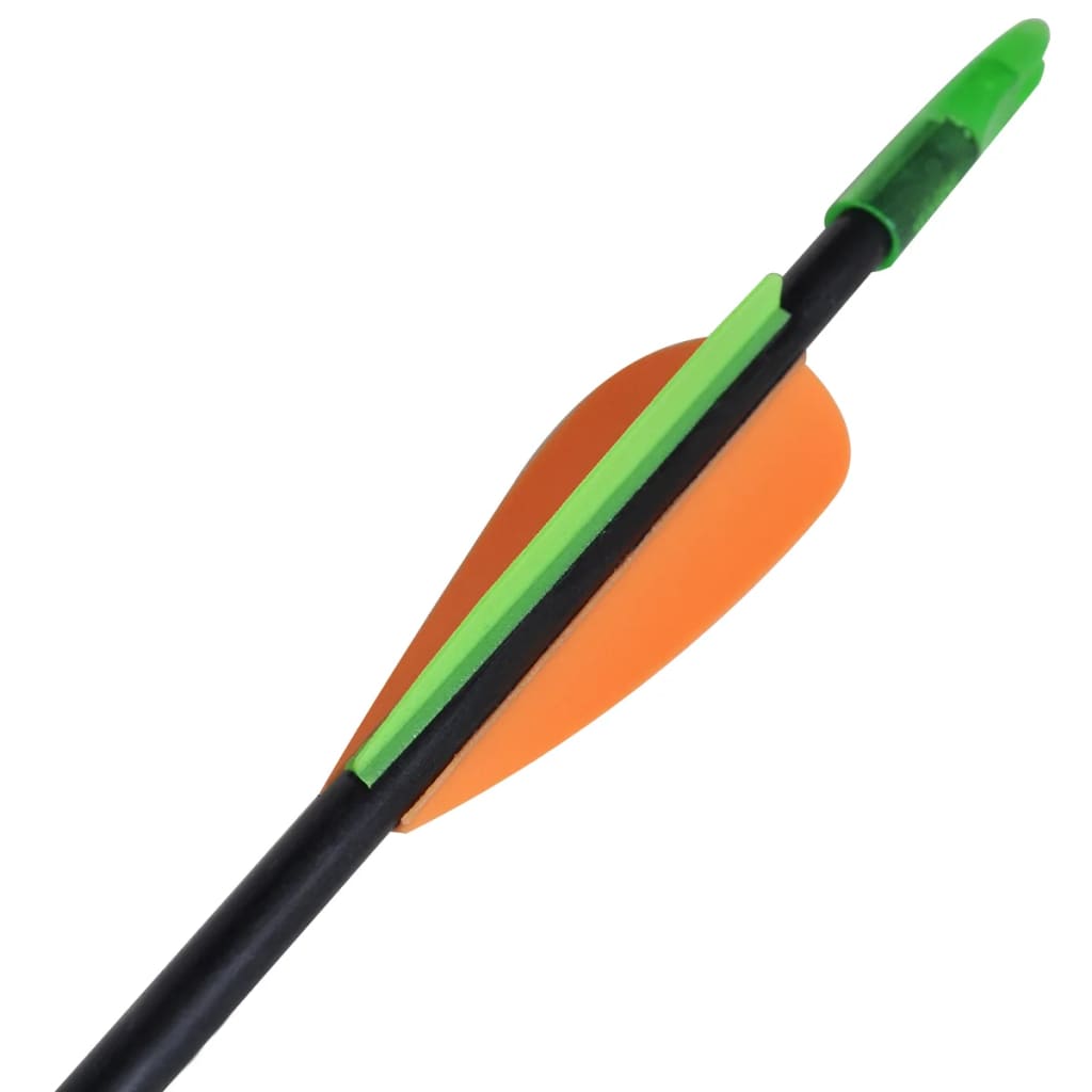 NNEVL Standard Recurve Bow Arrows 30" 0.6 cm Fiberglass 12 pcs