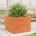 VidaXL Planter 60x60x46 cm solid pine wood, wash brown-0