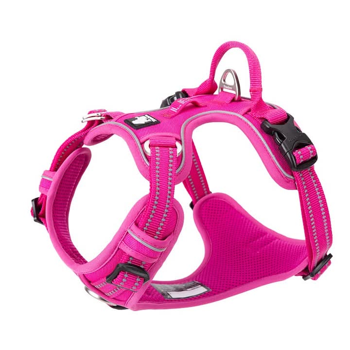 True Love No Pull Explosion Proof Dog Harness - Pink, XL