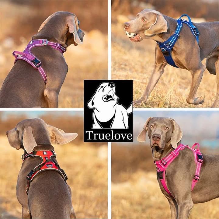True Love No Pull Explosion Proof Dog Harness - Blue, XS-2