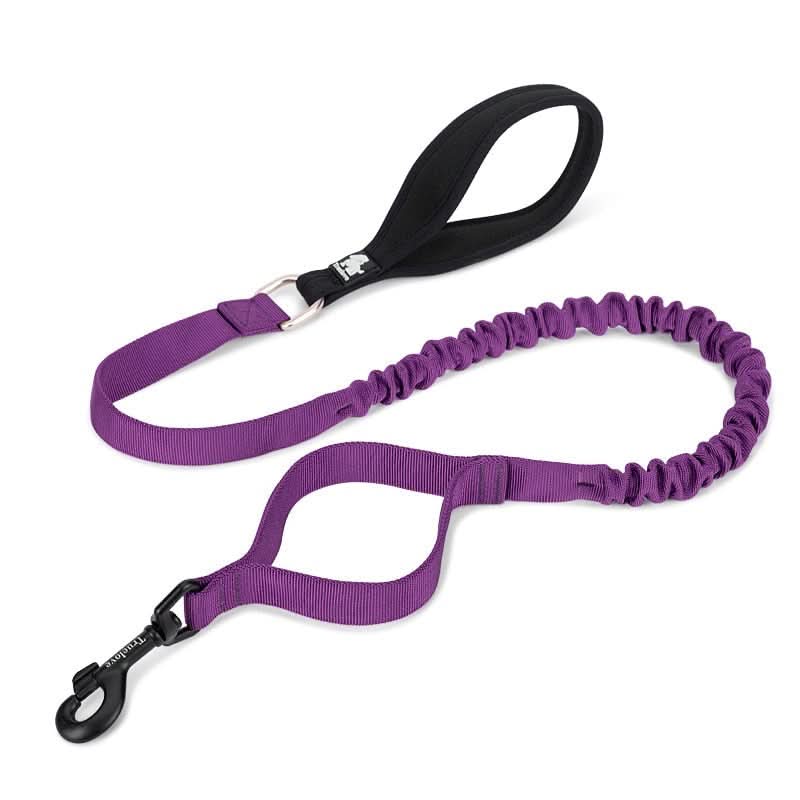 True Love Military Dog Leash 2.5 cm width and 1.4 m length - Purple M