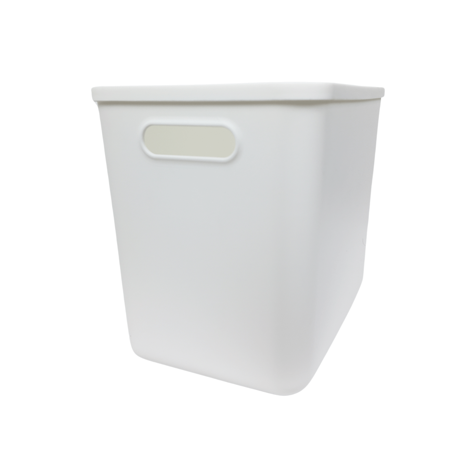 12-Pack White Storage Tubs with Lids
