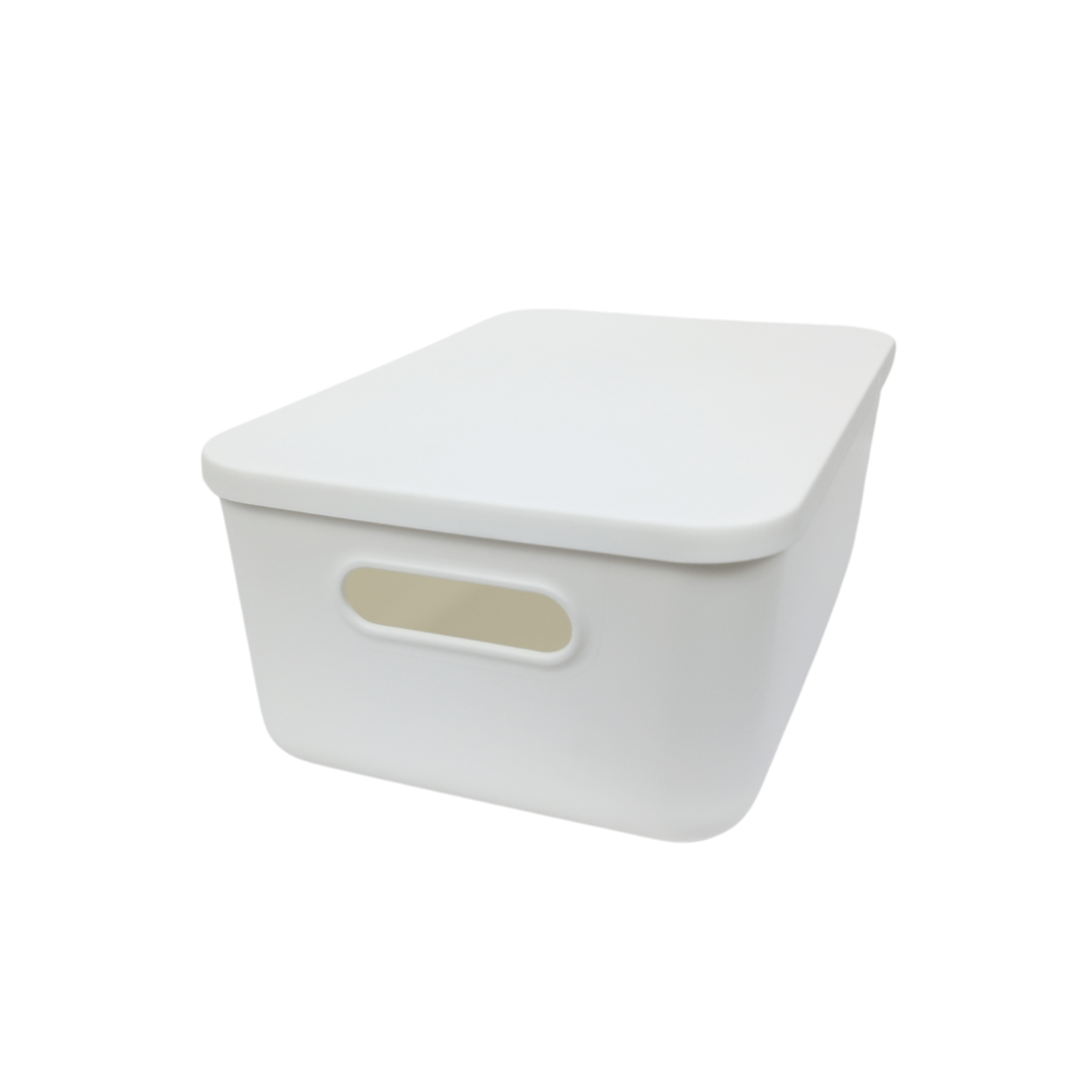 12-Pack White Storage Tubs with Lids