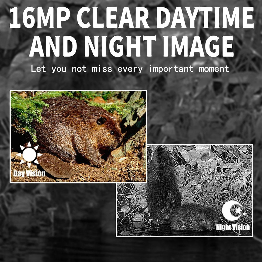 NNEIDS 16Mp Outdoor Hunting Camera With Night Vision And Motion Activation