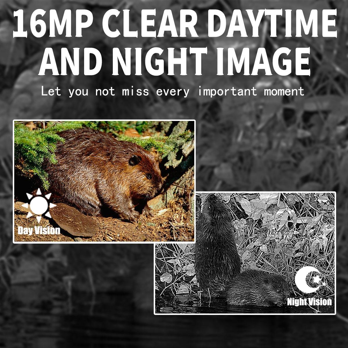 NNEIDS 16Mp Outdoor Hunting Camera With Night Vision And Motion Activation