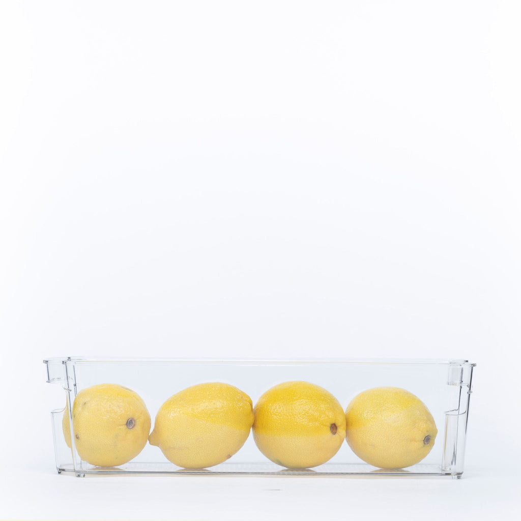 Clear Storage Tub With Handles - Medium