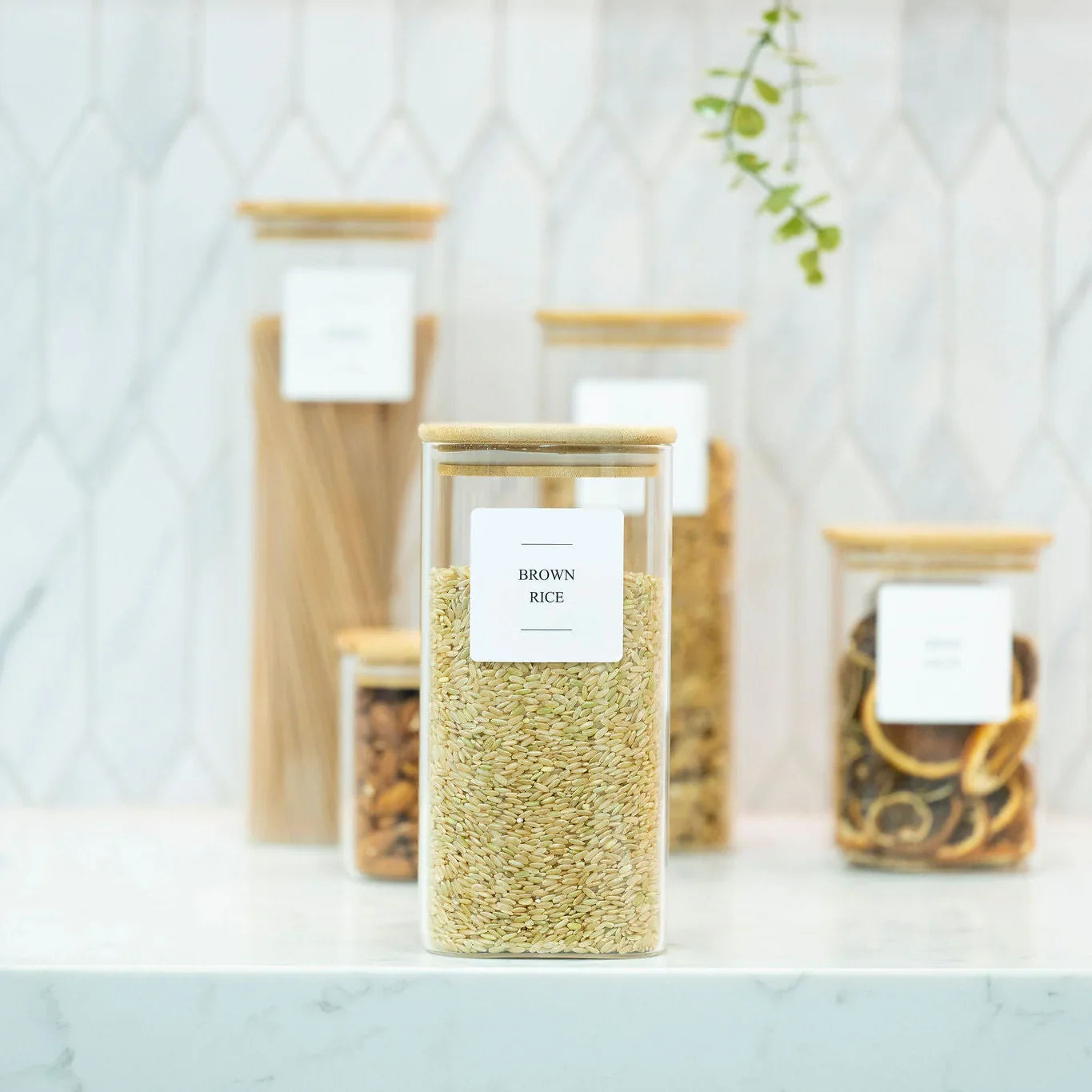 Small Pantry Reset Pack-4
