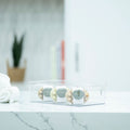 Clear Multi-Use Storage Tub – Small