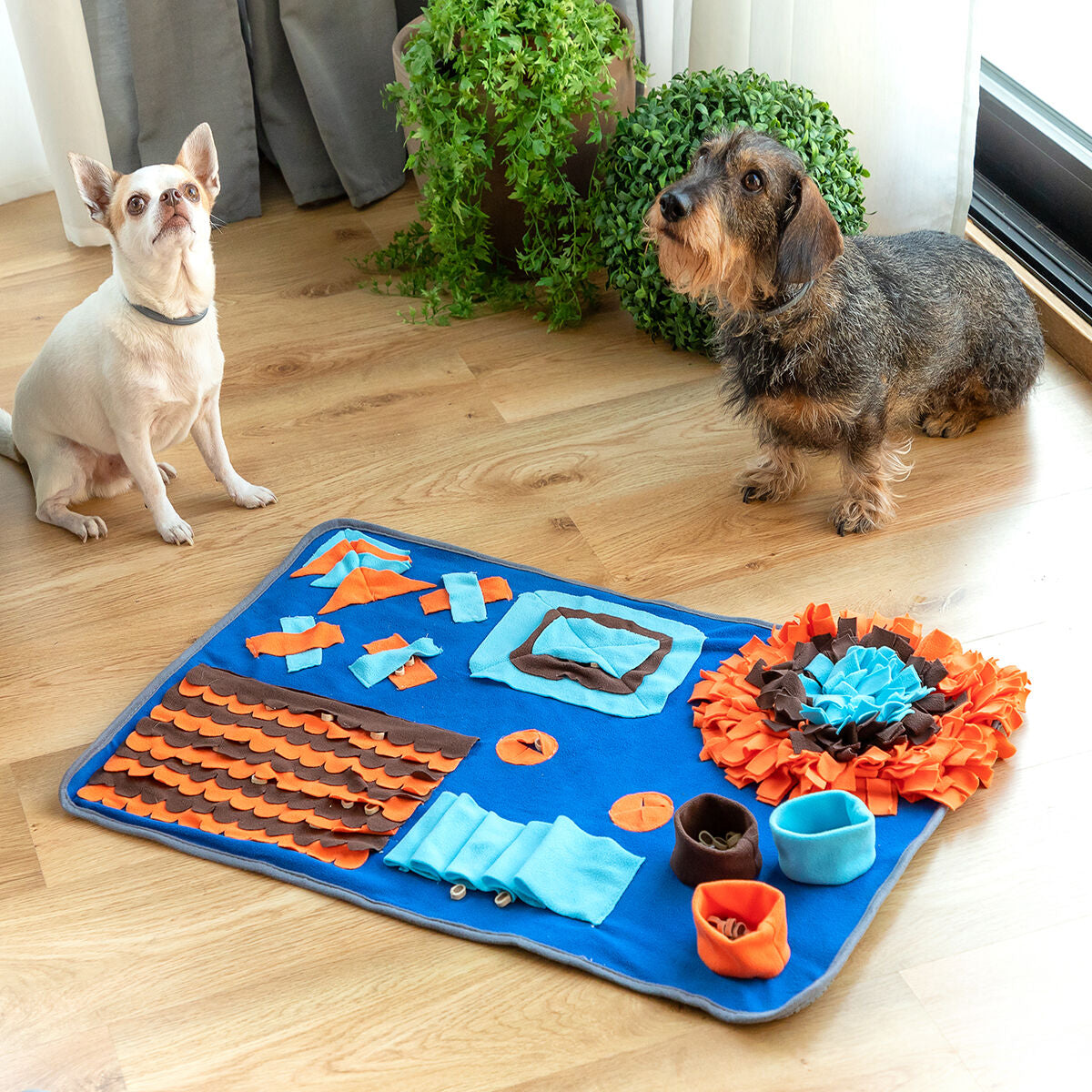 Sniffing Mat for Pets Foopark InnovaGoods-0