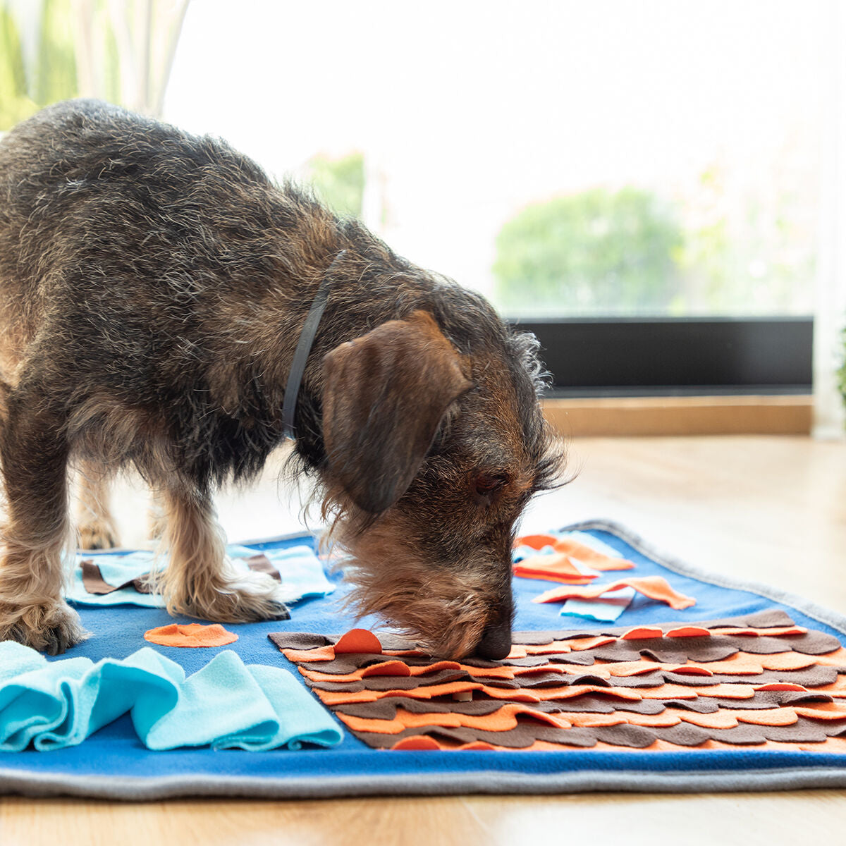 Sniffing Mat for Pets Foopark InnovaGoods-8