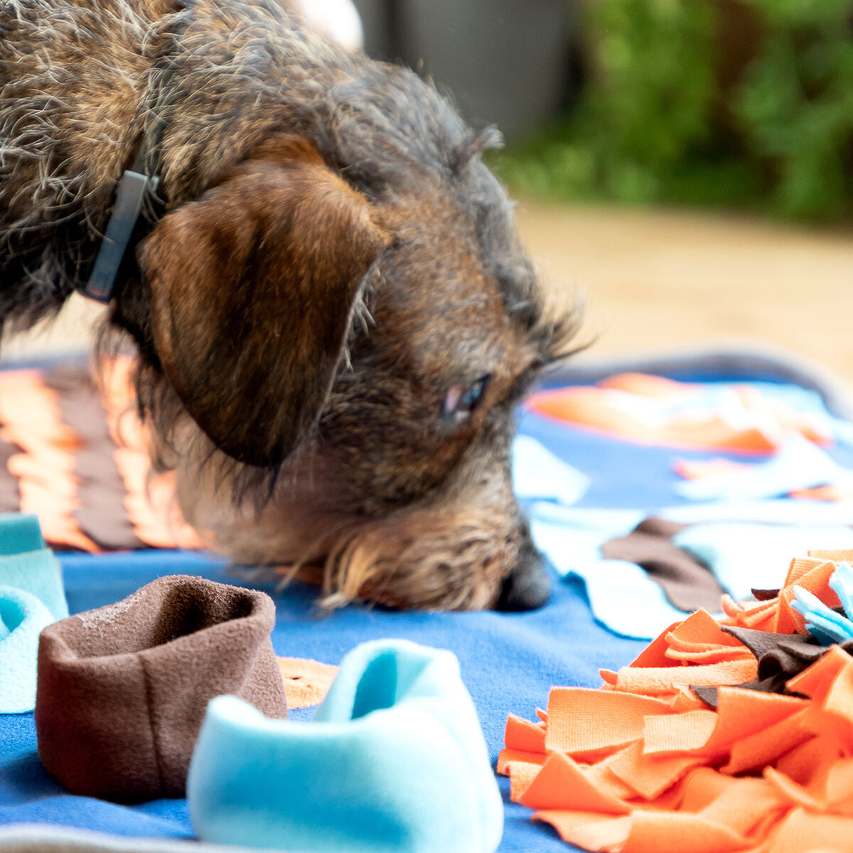 Sniffing Mat for Pets Foopark InnovaGoods-5