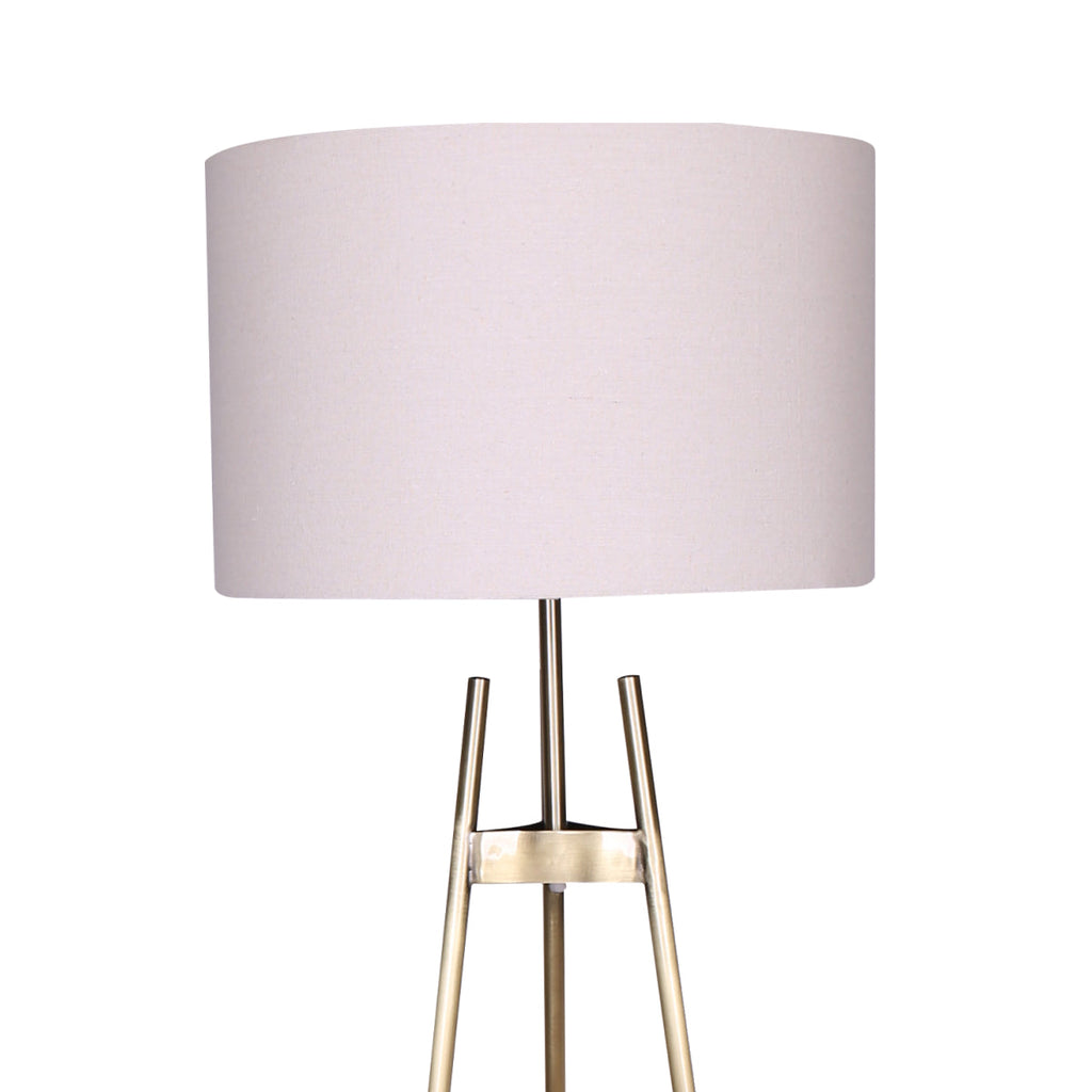 NNEDSZ Sarantino Metal Tripod Electric Floor Lamp Gradient Finish