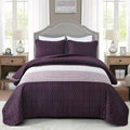 NNEDSZ Radiant Quilted coverlet and pillowcovers set: Brighten Any Room - Queen size