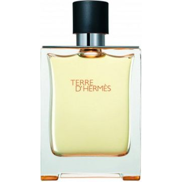 HERMES Terre d' Hermés EdT 100 ml-0