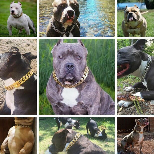 32MM Strong Metal Dog Chain Collars
