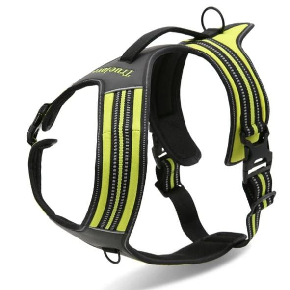 True Love Heavy Duty Sports Dog Harness - Neon Yellow, XL-2