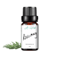 Rosemary Essential Oil - 10ml
