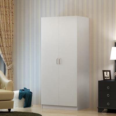 Two-Door Hanging Wardrobe-1
